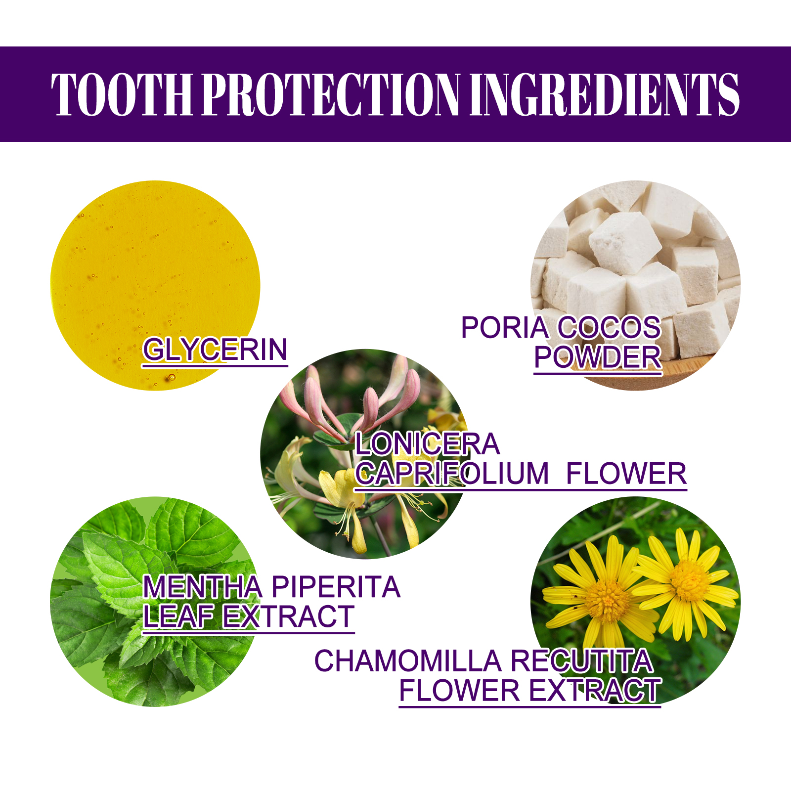 Purple Tooth Powder, Gingival Care Fresh Breath Care White Tooth Powder - Image 5